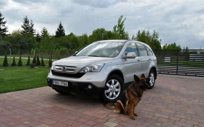 samochody osobowe Honda CR-V cena 35900 przebieg: 189000, rok produkcji 2007 z Puławy